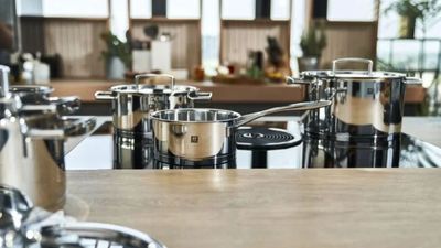 Zwilling's Stainless Steel Pan Set is an elevated take on basics - here's why they should be in your kitchen