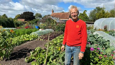 18 composting tips I learned while spending a day with no dig expert Charles Dowding