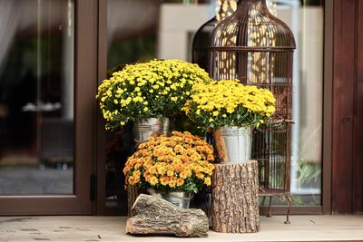 How to Style Mums for Fall — 11 Creative Ways to Display This Seasonal Flower