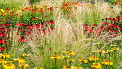 8 Fall Gardening Ideas for a Colorful Seasonal Transition