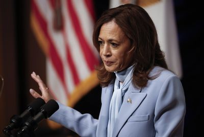 As Harris Adopts a Tough-on-Border Approach for the Elections, Progressives Hope it is Only Temporary