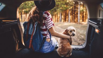 Vet shares her top 5 tips for traveling with your pup this fall — and number two really made us think!