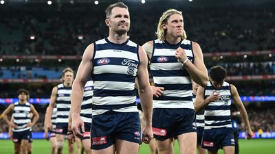 Dangerfield rallies Cats to regroup after heartbreak