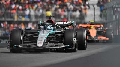 Giant Lizard on Track Causes Delay at Formula 1 Practice Race in Singapore