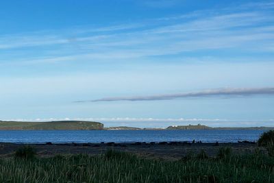 Why an Alaska island is using peanut butter and black lights to find a rat that might not exist