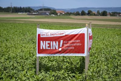 Birds, bees and ballots: Swiss voters to decide on plan to bolster country's fragile biodiversity