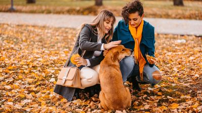 Trainer reveals 5 things to keep in mind when greeting a dog for the first time