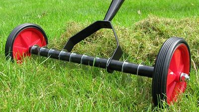 When is the best time to scarify? Lawn experts reveal all