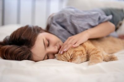 Should Your Cat Sleep in Bed with You? A Veterinarian Reveals the Hidden Health Risks