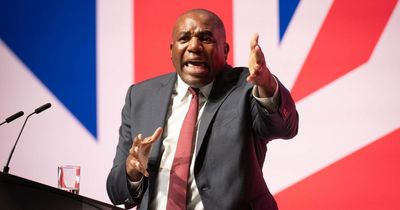 David Lammy slammed for 'Orwellian' Gaza comments at Labour conference