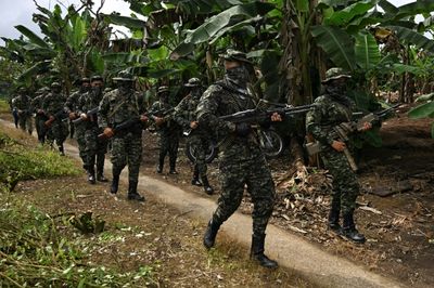 Colombia Rebel Group Imposes Control In Restive Coca Zone