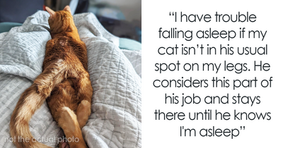 “My Dog Lets Me Sleep In His Bed”: 79 People Debate If It’s Okay To Let Pets Sleep In Your Bed