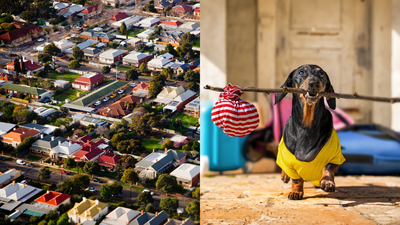 NSW Landlords Will Soon Need Actual Valid Reasons To Deny Renters From Keeping Pets