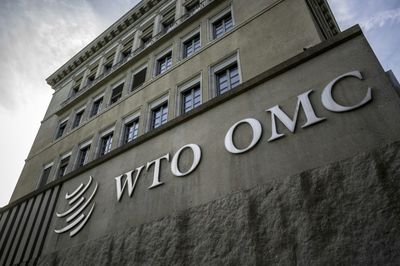 EU Launches WTO Challenge Against China Dairy Probe