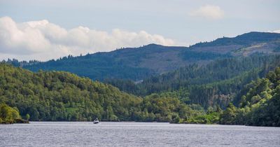 Plans to create one of Europe's largest new woodlands in Scotland gets green light