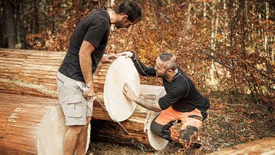 “If you’re going to make instruments in 100 years, you better be growing that supply chain, not barely maintaining it”: When the guitar world’s most prized woods are endangered, how can we ensure the future of tone?