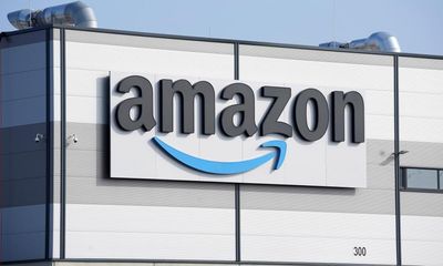 Amazon, Tesla and Meta among world’s top companies undermining democracy – report