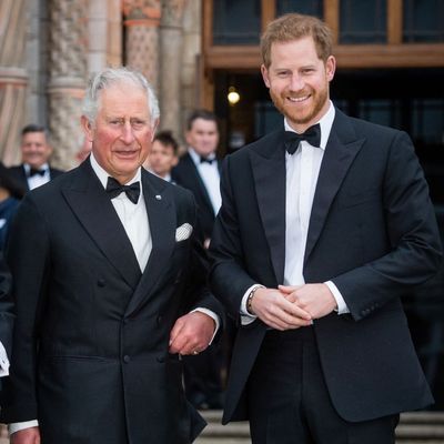 Sorry, But a Prince Harry and King Charles Meeting This Month Is "Highly Unlikely," Claims Source