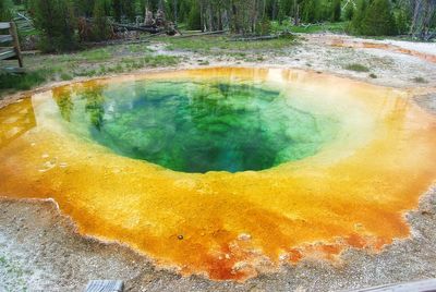 Yellowstone tourists blamed for ruining pristine blue thermal pool