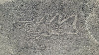 'Knife-wielding orca' and alien-looking figures among 300 Nazca Lines discovered in groundbreaking AI study