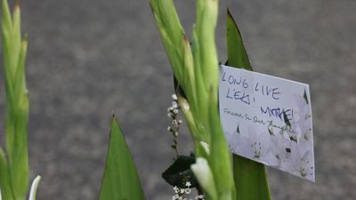 Tributes to 'respected' footy player killed in stabbing