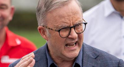 ‘Grow up Albo!’: How Crikey readers feel about Labor, less than a year out from the election