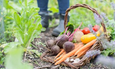 Residents near Lancashire chemicals plant told to wash homegrown produce