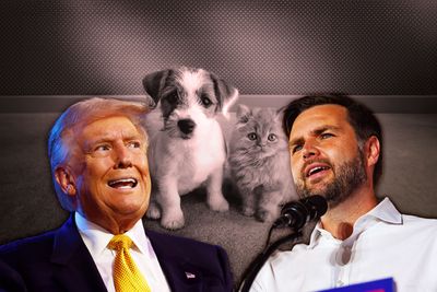 A Trump campaign on a losing trajectory