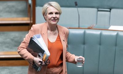 Tanya Plibersek approves three coalmine expansions in move criticised as ‘the opposite of climate action’