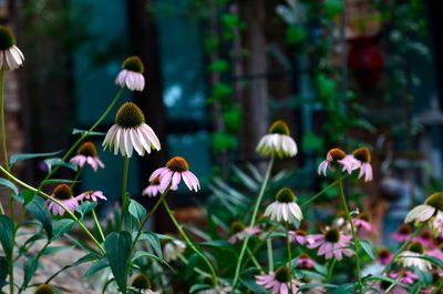 Fall cleanup in the garden doesn't mean what it used to