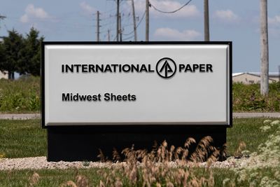 How Is International Paper Company's Stock Performance Compared to Other Timber Stocks?