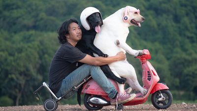 Man Shares Hilariously Cute Photos Of Driving With And Being Driven By His Adorable Dogs