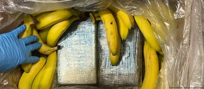 Grocery Store Employees Discover Millions of Dollars Worth of Cocaine in Banana Crate