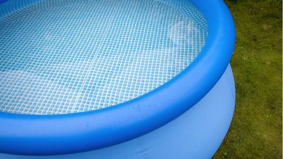 How to not kill grass under a pool – expert tips for keeping your lawn alive