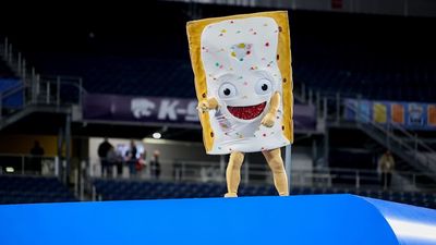 Pop-Tarts Bowl Mascot Immortalized As Popular Halloween Costume