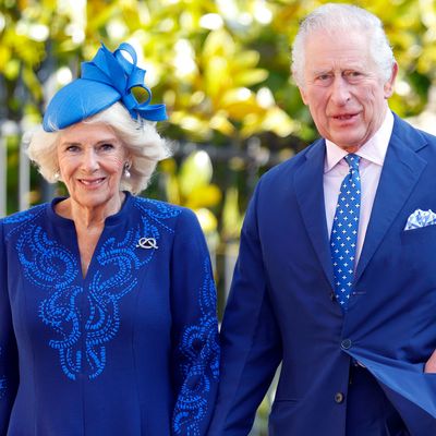 Queen Camilla's Son Shares a Rare Update on King Charles' Cancer Treatment