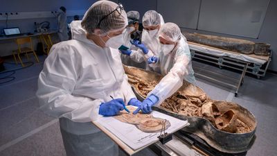 Mysterious 'horseman' from lead coffin unearthed in Notre Dame Cathedral finally identified