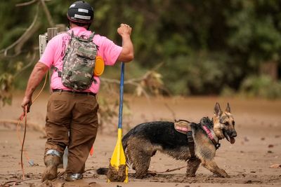 Hurricane Helene: Death toll reaches 143 as desperation grows to find hundreds still missing