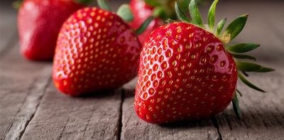 OpenAI’s Strawberry program is reportedly capable of reasoning. It might be able to deceive humans