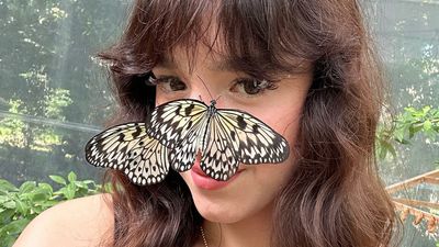 This Woman Breeds And Cares For Some Of The Most Beautiful Butterflies Worldwide (30 Pics)