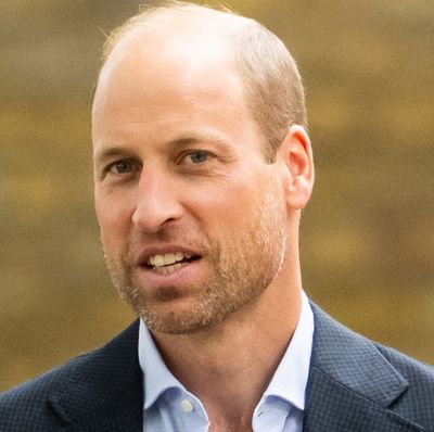 Prince William Appeals to World Leaders at the UN Just Hours After Prince Harry's Appearance