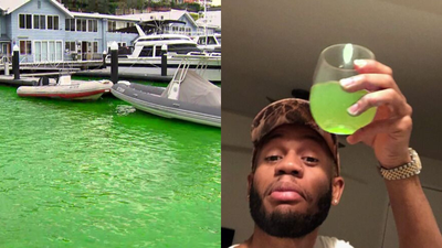 Water In Sydney Harbour Looks Like Forbidden Green Gatorade Right Now & Can I Take A Sip?