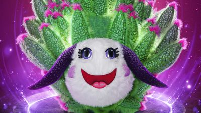 Who is Leaf Sheep on The Masked Singer season 12?