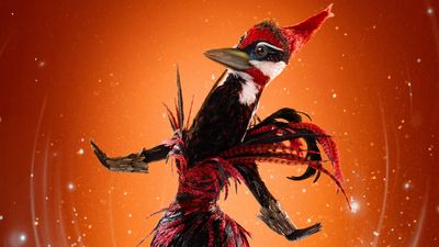 Who is Woodpecker on The Masked Singer season 12?