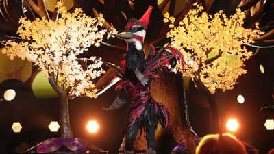 Who is Woodpecker on The Masked Singer season 12?