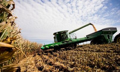 Why corn ethanol is worse for the climate than petrol