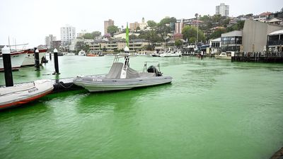 It's not easy being green, but harbour spill no concern