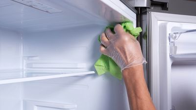 Stubborn mold in your refrigerator seal? 3 expert tips to get rid of it fast