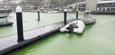 Sydney Harbour water turns bright green after ‘bucket-full’ of dye gets into waterways