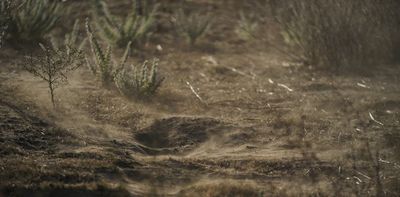 Fungal infections known as valley fever could spike this fall - 3 epidemiologists explain how to protect yourself